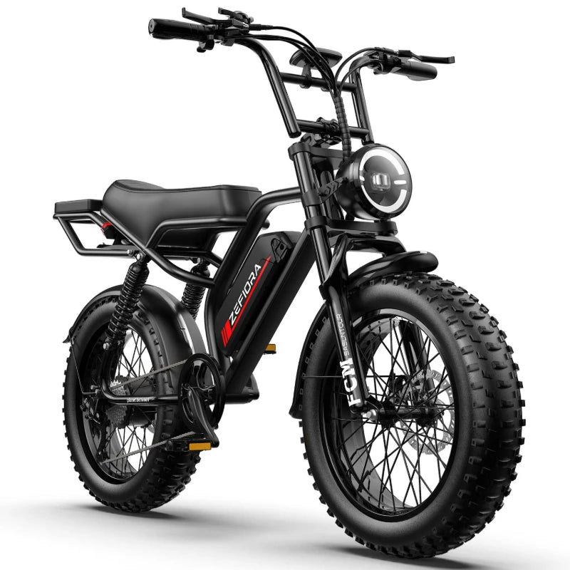 Electric Bike 800W 48V20Ah Mountain Electric Bicycle Adult 20 Inch Fat Tire E Bike For Snow,Mountains, Road UL Certified