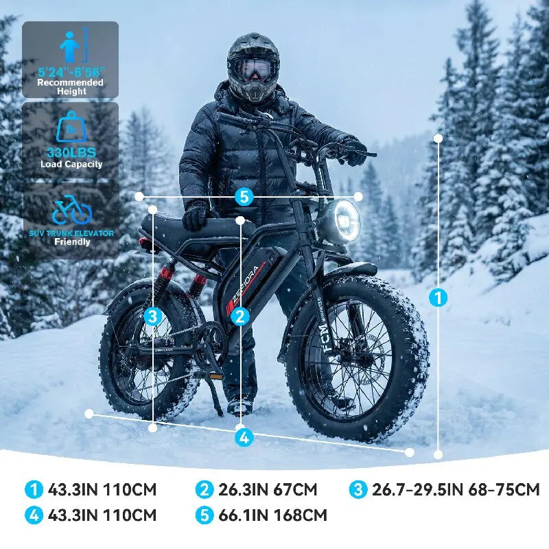 Electric Bike 800W 48V20Ah Mountain Electric Bicycle Adult 20 Inch Fat Tire E Bike For Snow,Mountains, Road UL Certified