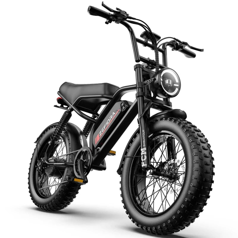 Electric Bike 800W 48V20Ah Mountain Electric Bicycle Adult 20 Inch Fat Tire E Bike For Snow,Mountains, Road UL Certified