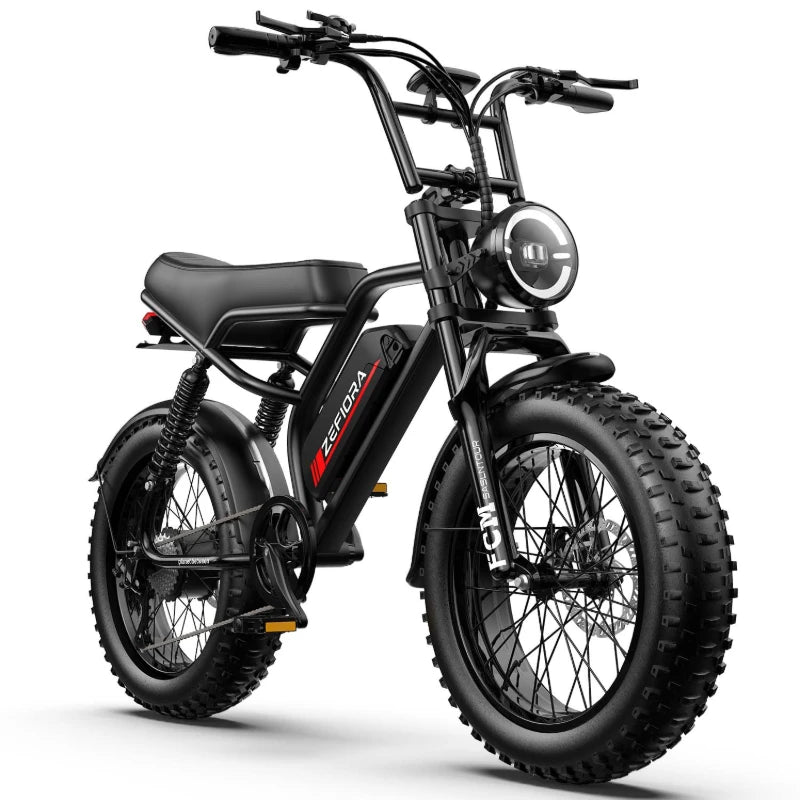 Electric Bike 800W 48V20Ah Mountain Electric Bicycle Adult 20 Inch Fat Tire E Bike For Snow,Mountains, Road UL Certified