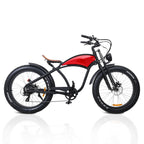 Electric Mountain Bike 750W