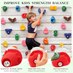32 PCS Rock Climbing Holds for Rock Climbing Wall Grips Climbing Rocks Wall Kit for Indoor and Outdoor Playground Play Set with