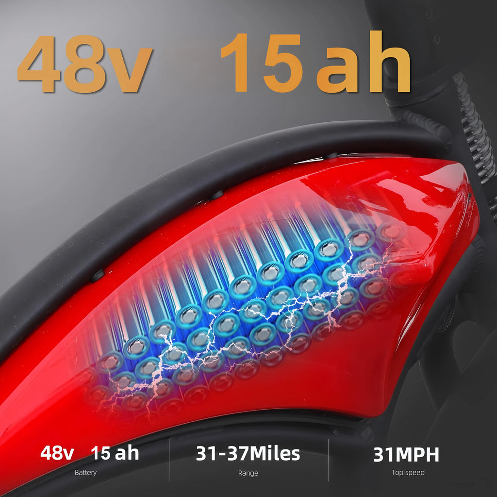 Electric Mountain Bike 750W