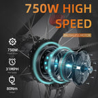 Electric Mountain Bike 750W