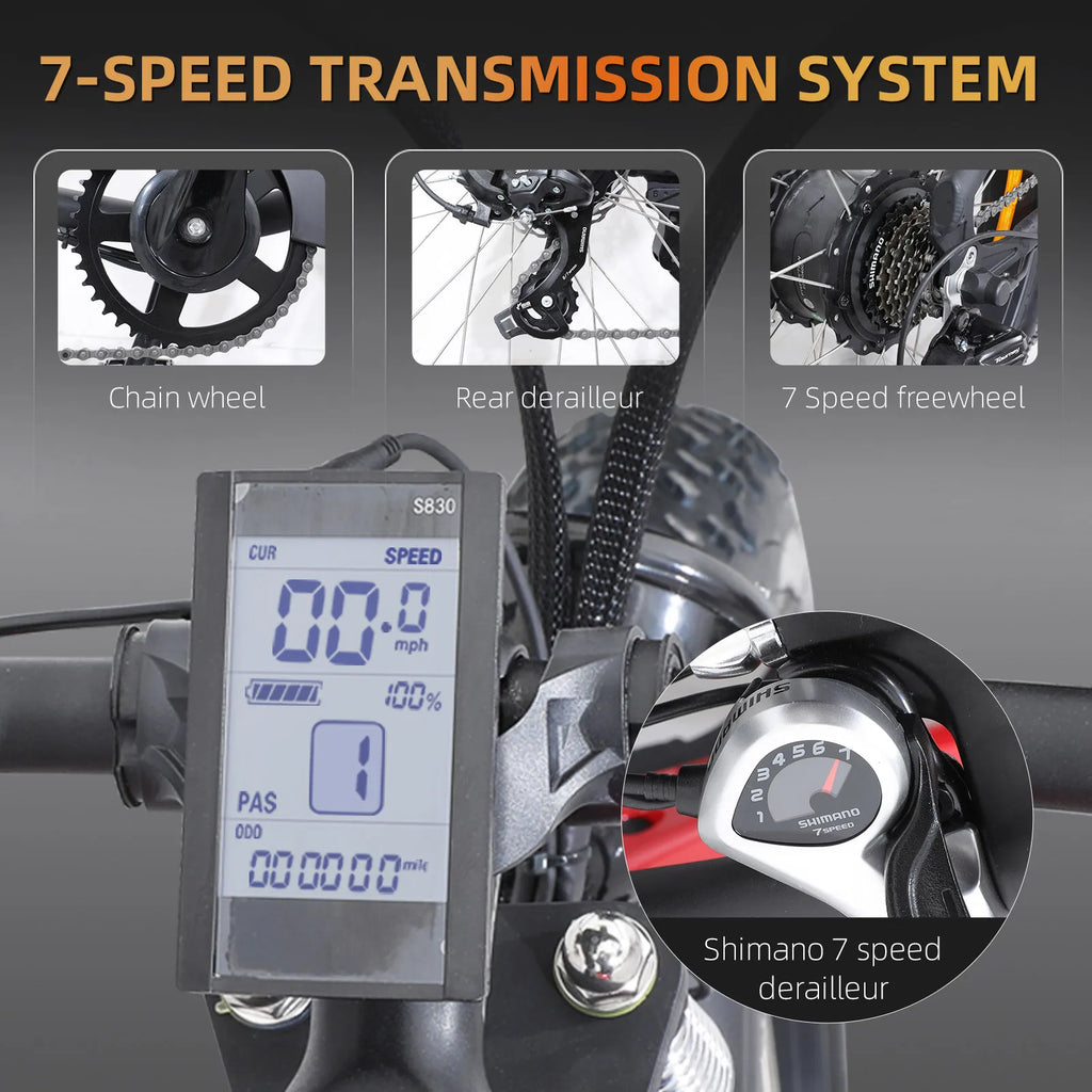 Electric Mountain Bike 750W