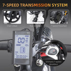 Electric Mountain Bike 750W