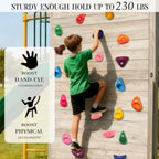 32 PCS Rock Climbing Holds for Rock Climbing Wall Grips Climbing Rocks Wall Kit for Indoor and Outdoor Playground Play Set with